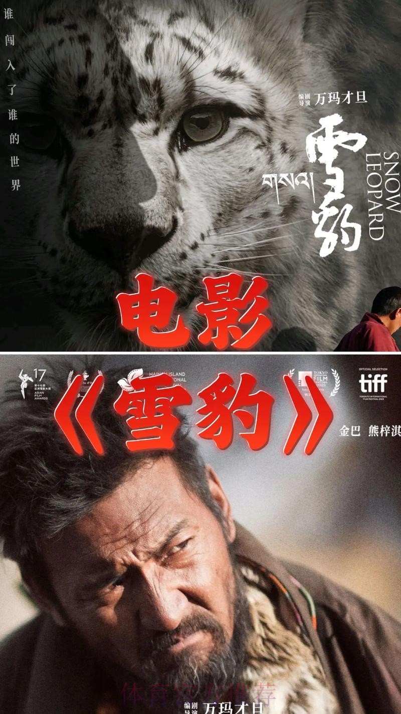 2020中甲专刊： 第二十五期《天山雪豹努力活下去》